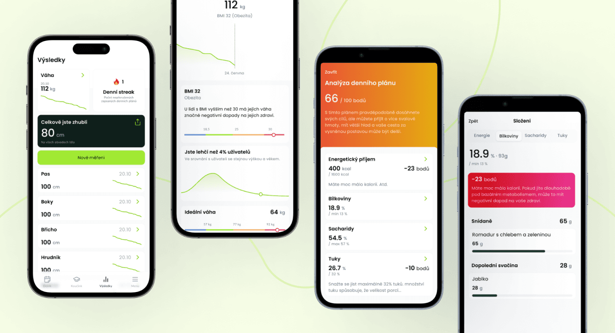 Moje Stravování - preview